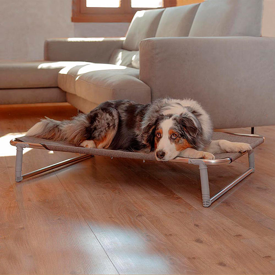 Ferplast Dream Folding Dog Bed Grey