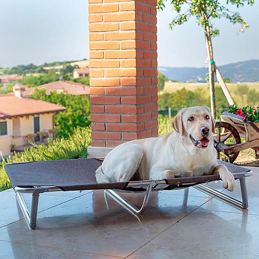 Ferplast Dream Folding Dog Bed Grey