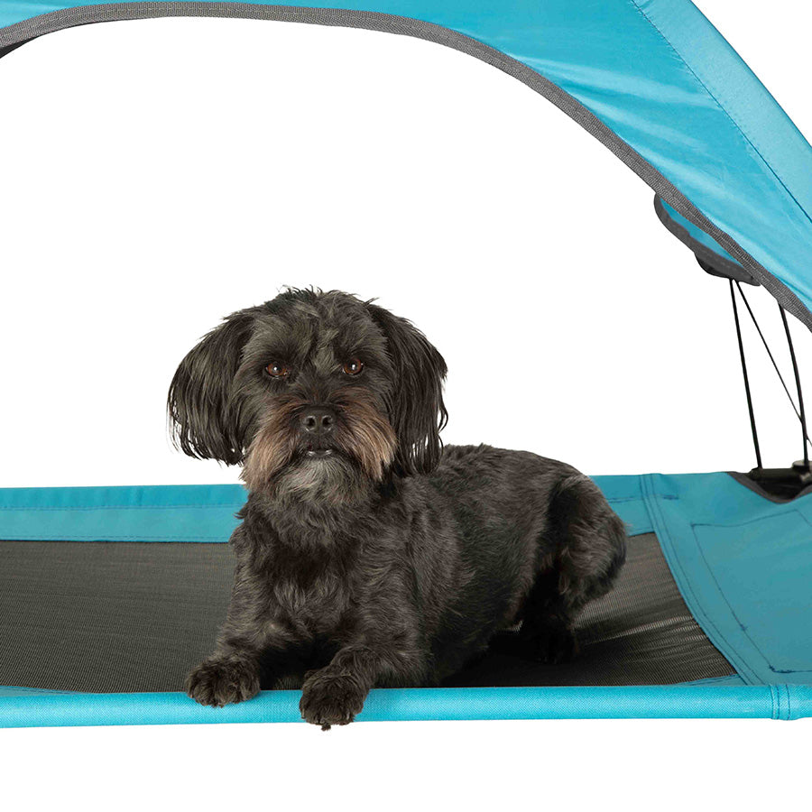Sunny Daze Raised Air Dog Bed with UV Canopy Blue