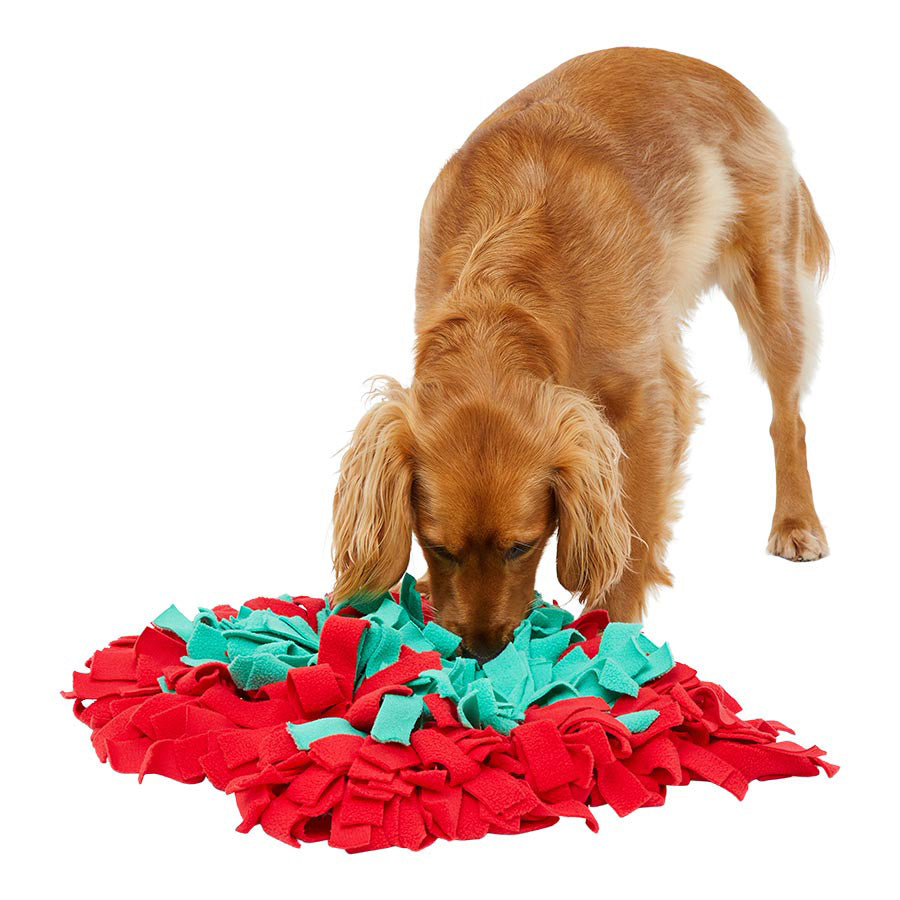 Pets at Home Snuffle Mat Dog Toy Blue