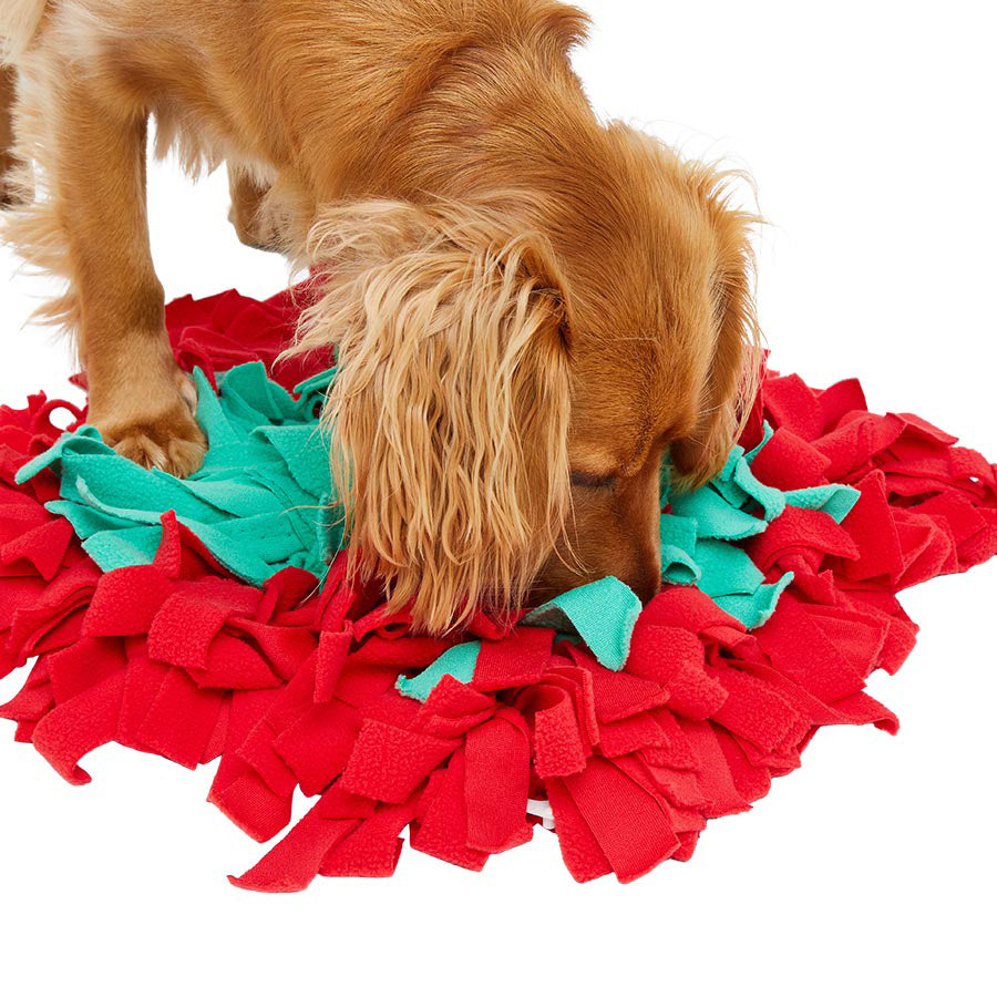 Pets at Home Snuffle Mat Dog Toy Blue