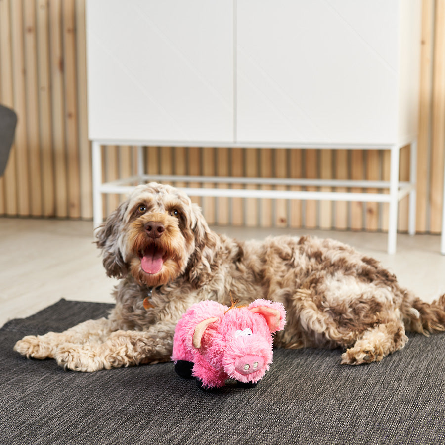 Pets at Home Honking Pig Dog Toy Pink