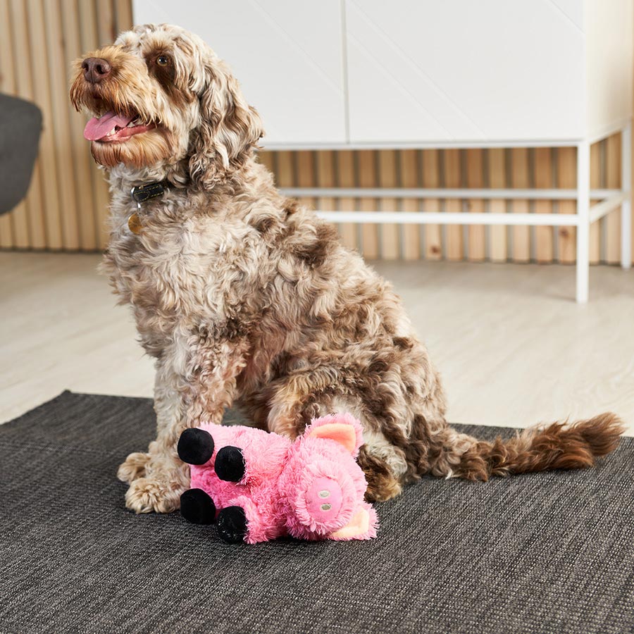Pets at Home Honking Pig Dog Toy Pink