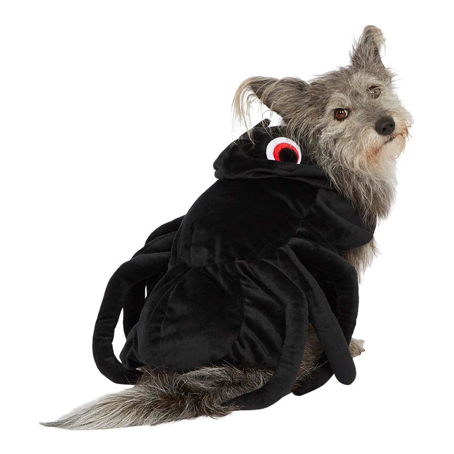 Pets at Home Halloween Spider Dog Costume Black Small