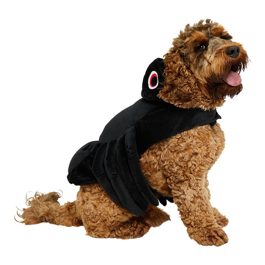 Pets at Home Halloween Spider Dog Costume Black Small