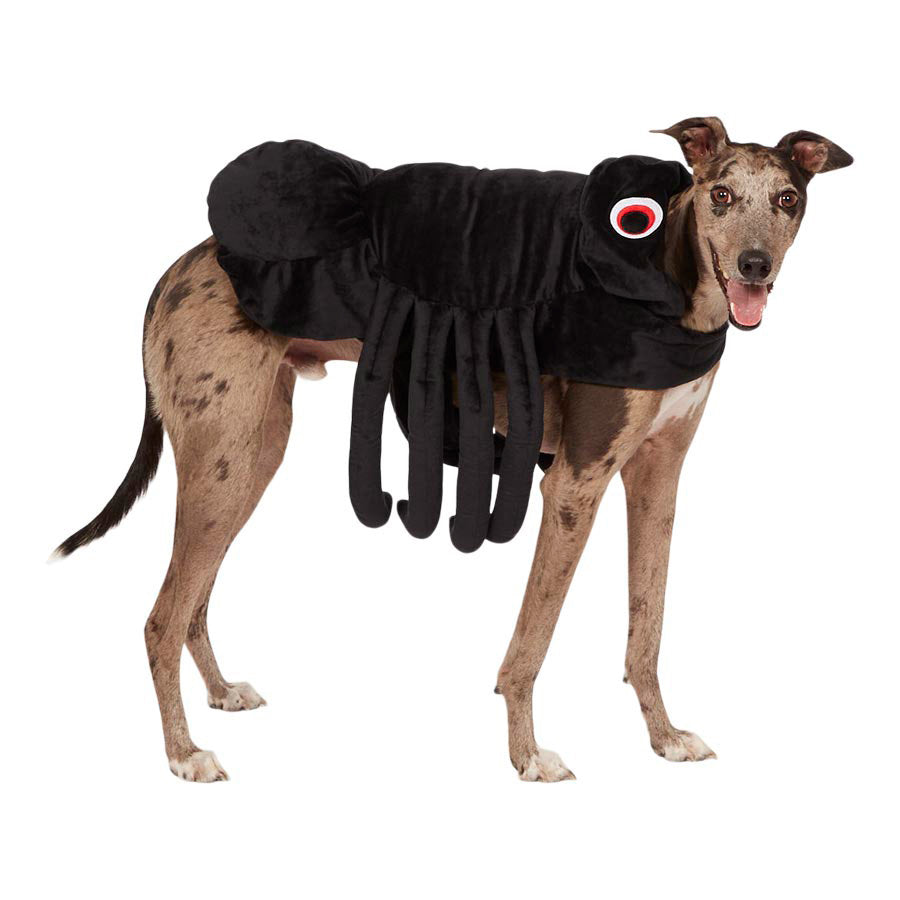 Pets at Home Halloween Spider Dog Costume Black Small