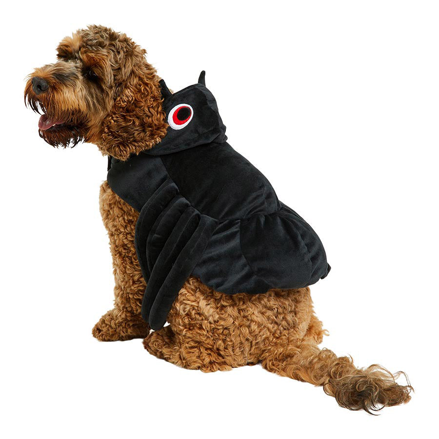 Pets at Home Halloween Spider Dog Costume Black Small