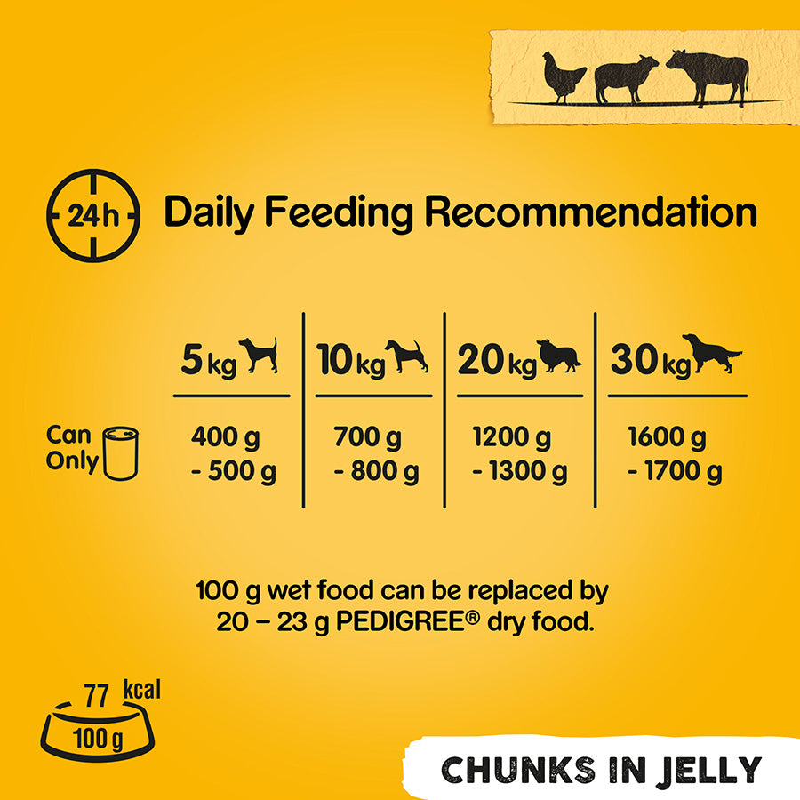 Pedigree Mixed Selection Wet Dog Food In Jelly 24x385g