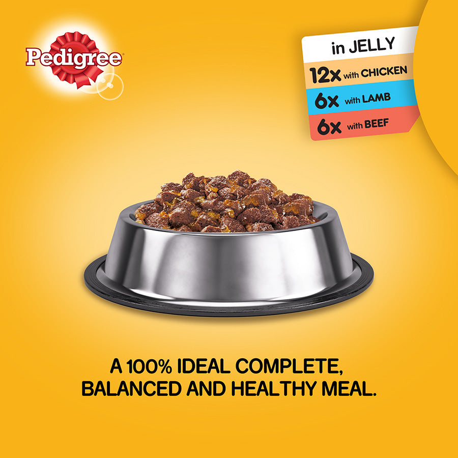 Pedigree Mixed Selection Wet Dog Food In Jelly 24x385g