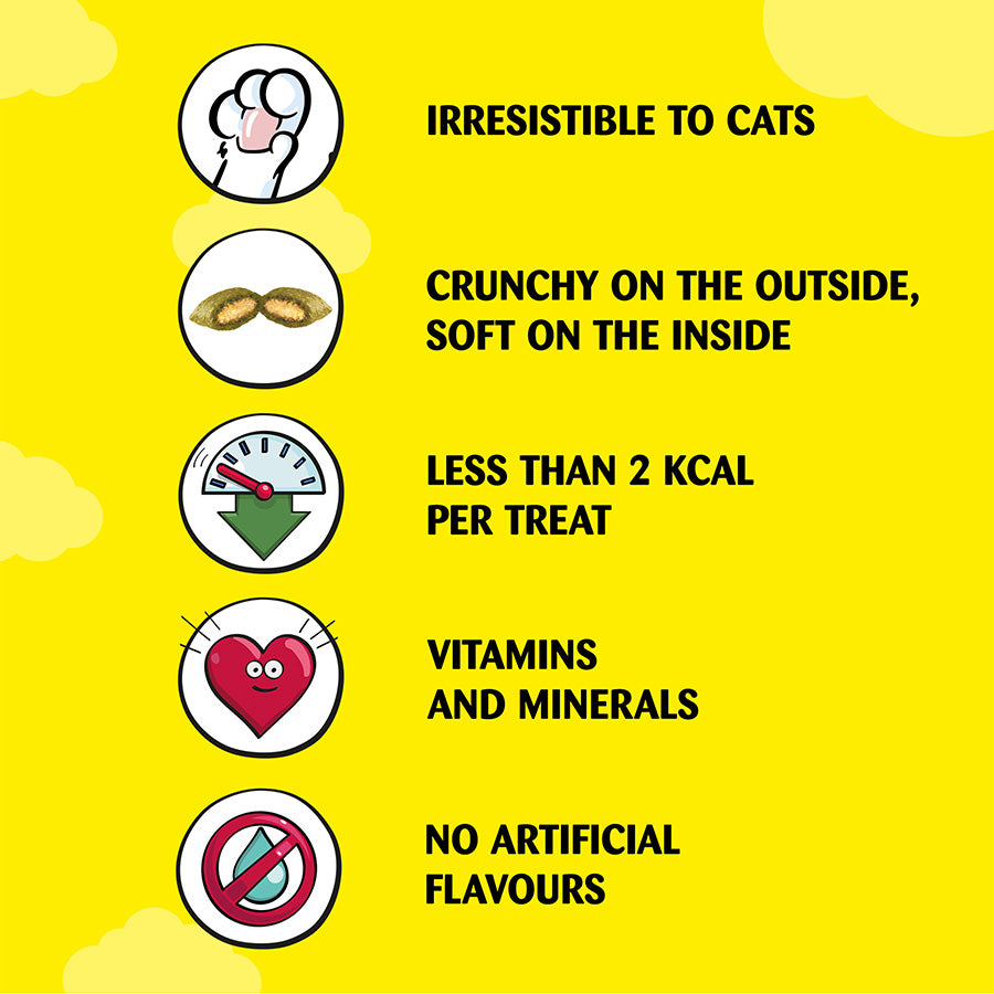 Dreamies Cat Treat Biscuits with Catnip 60g