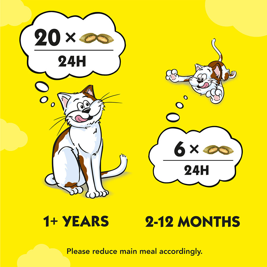 Dreamies Cat Treat Biscuits with Catnip 60g