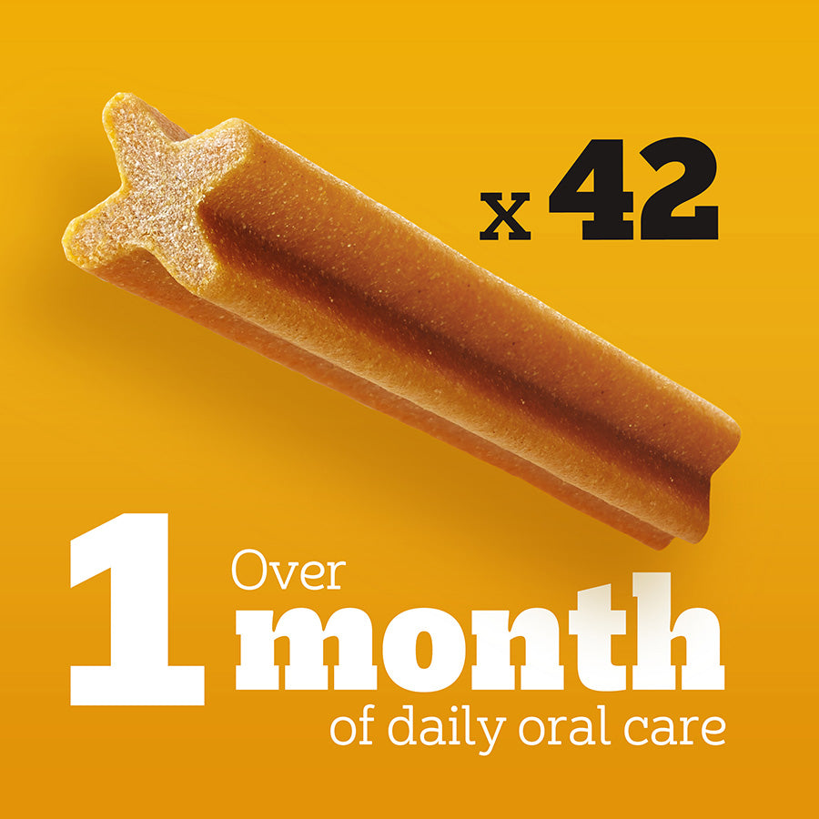 Pedigree Dentastix Daily Dental Sticks Large Adult Dog 42 Pack 1.62kg