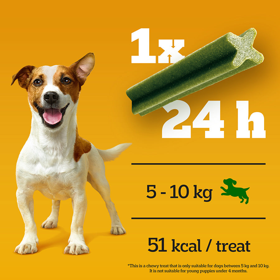 Pedigree Dentastix Fresh Treats Small Breed Adult Dog 35 Pack