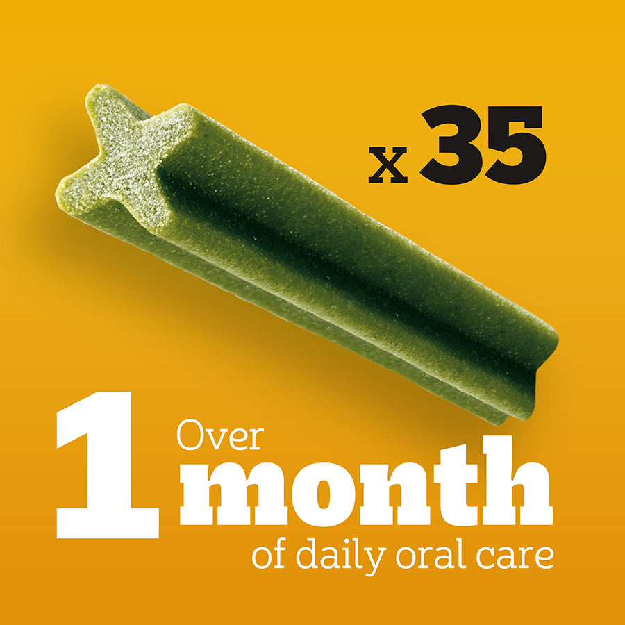 Pedigree Dentastix Fresh Treats Small Breed Adult Dog 35 Pack