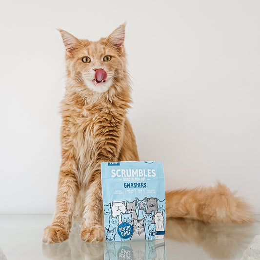 Scrumbles Gnasher's Grain Free Cat Dental Treats 60g