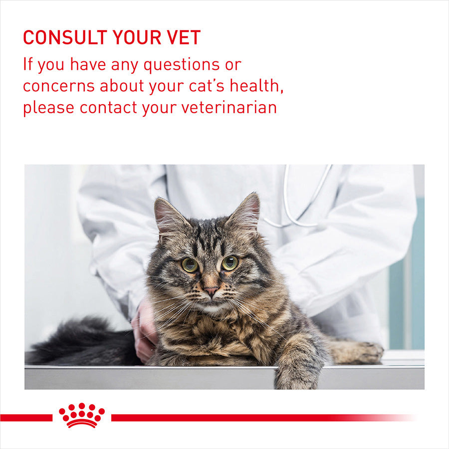 Royal Canin Feline Digest Sensitive Wet Adult Cat Food Gravy 48x85g
