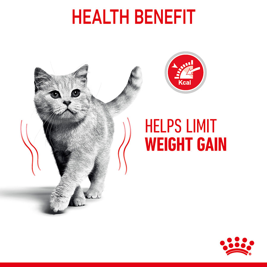 Royal Canin Feline Light Weight Wet Adult Cat Food Gravy 48x85g