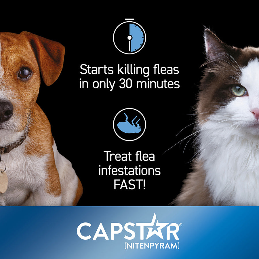 Capstar Flea Treatment Tablet for Cats & Small Dogs