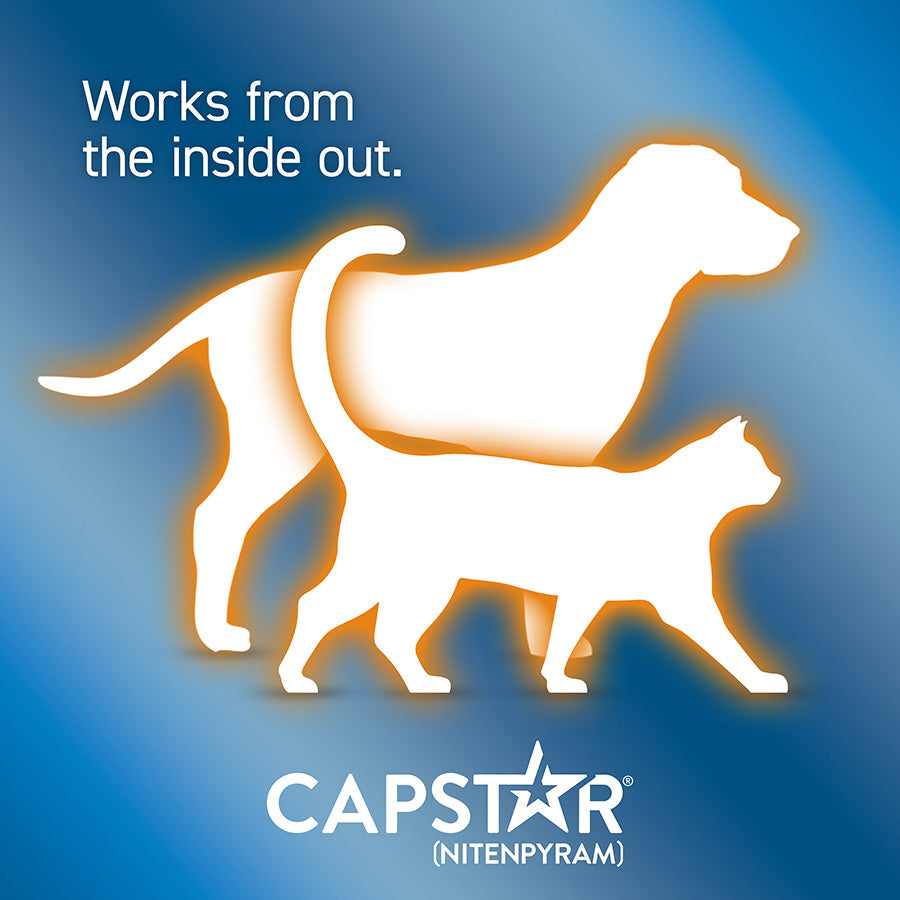 Capstar Flea Treatment Tablet for Cats & Small Dogs