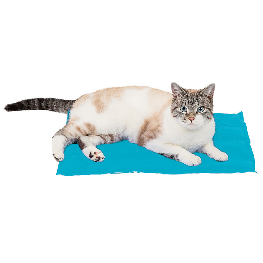 Sunny Daze Cooling Dog Mat Blue