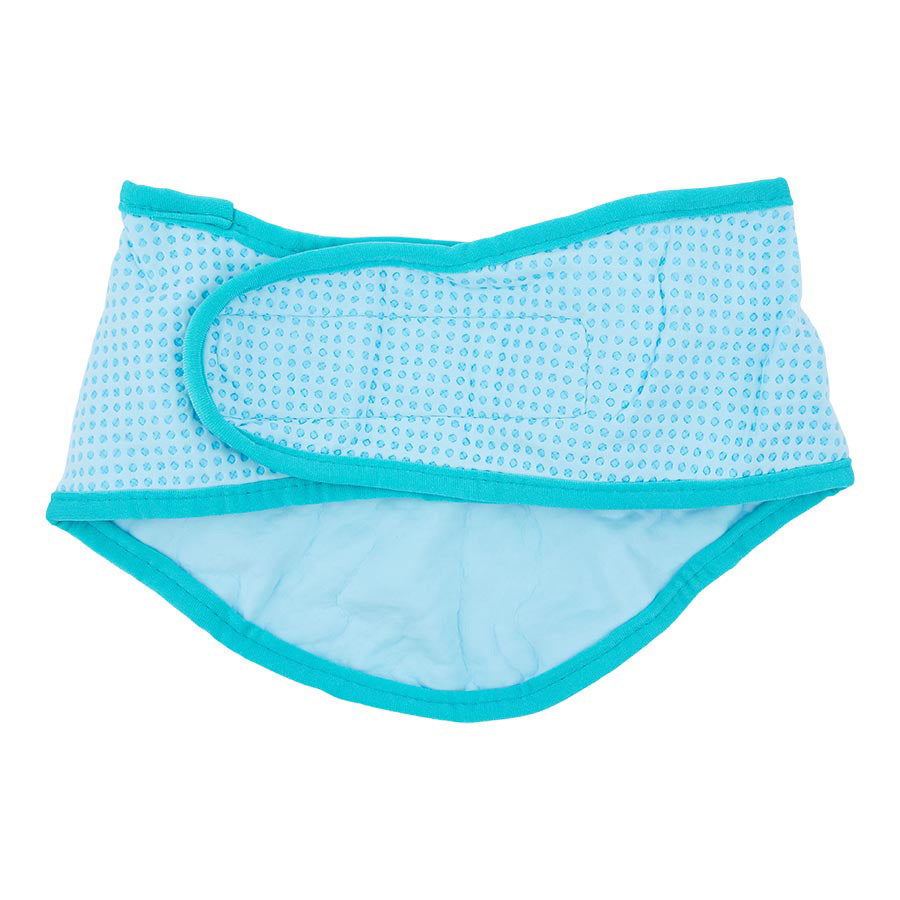 Sunny Daze Cooling Dog Bandana Blue