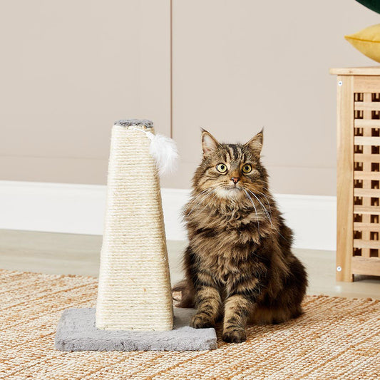 Just For Kitten Cone Shaped Kitten Scratching Post