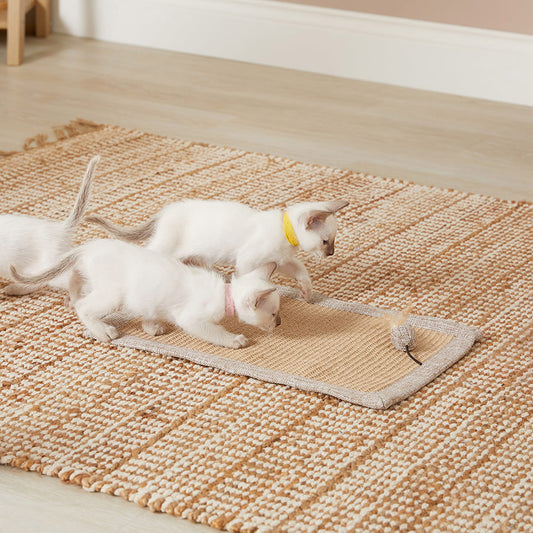 Willow's Cat Scratch Mat