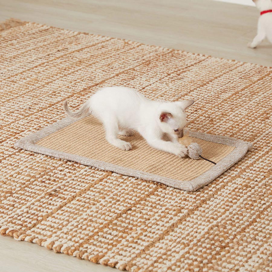 Willow's Cat Scratch Mat