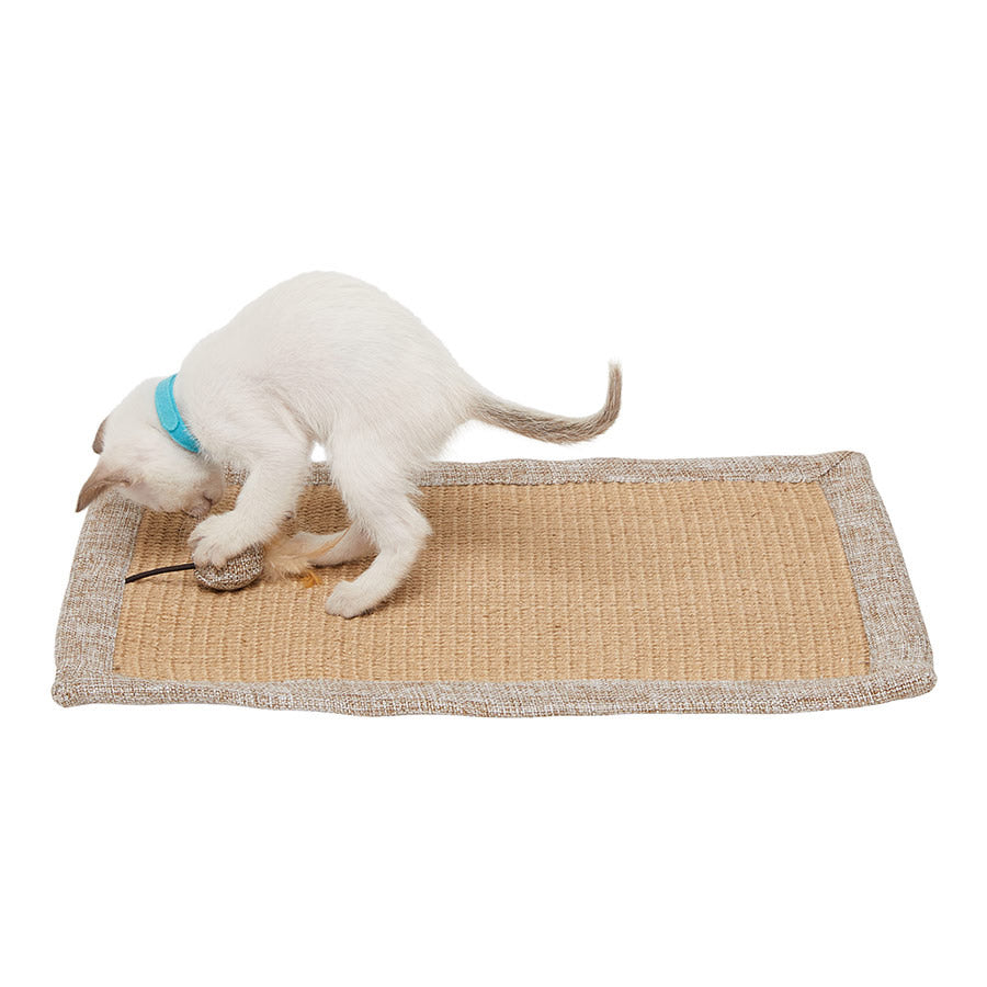 Willow's Cat Scratch Mat