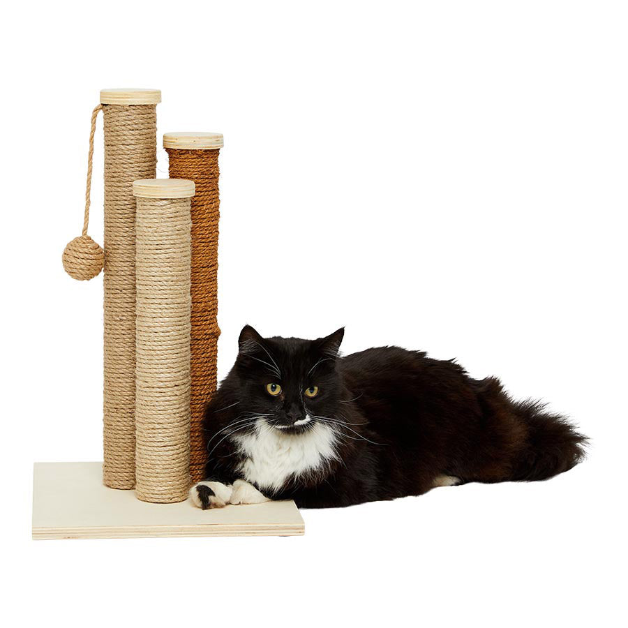 Willow's 3 Post Cat Scratcher