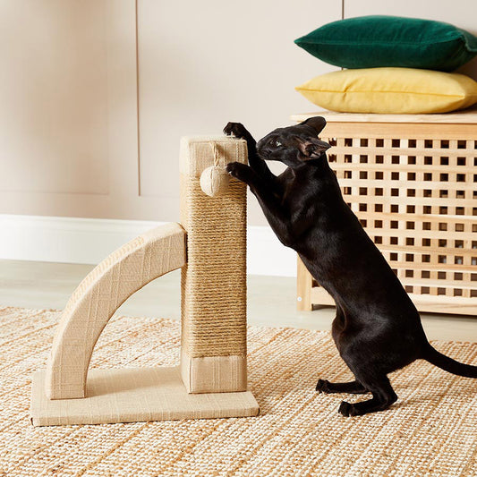 Willow's Scratch & Play Cat Post