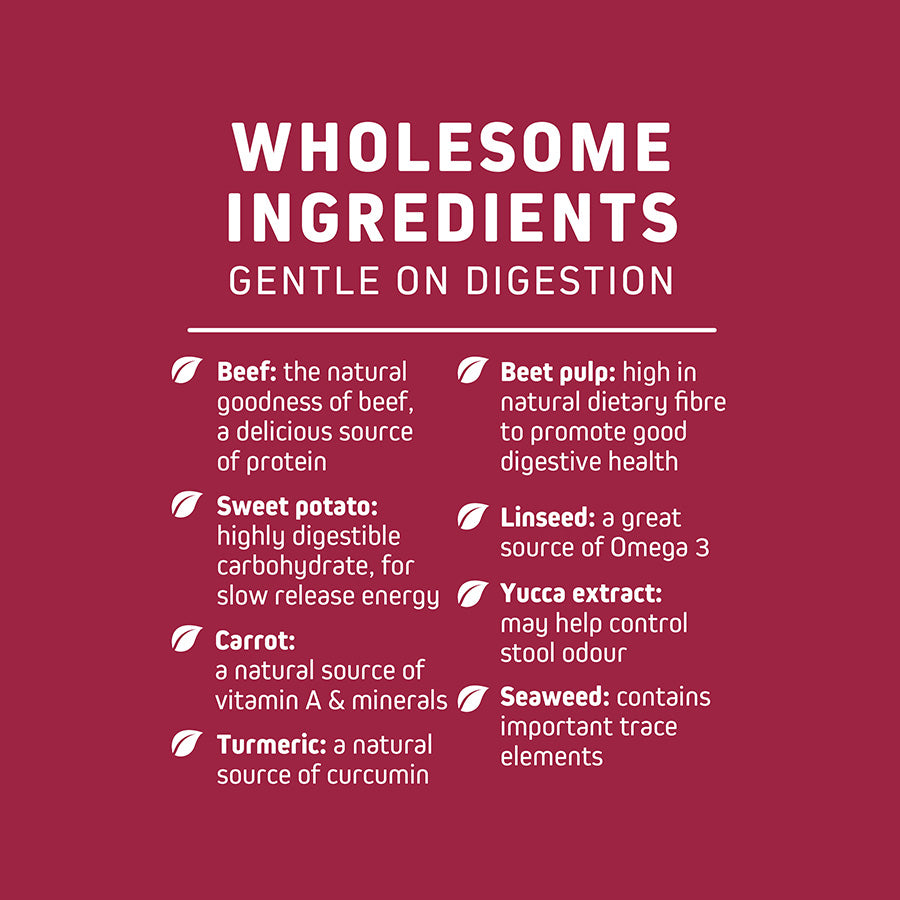 Wainwright's Dry Adult Dog Food Beef With Superfoods