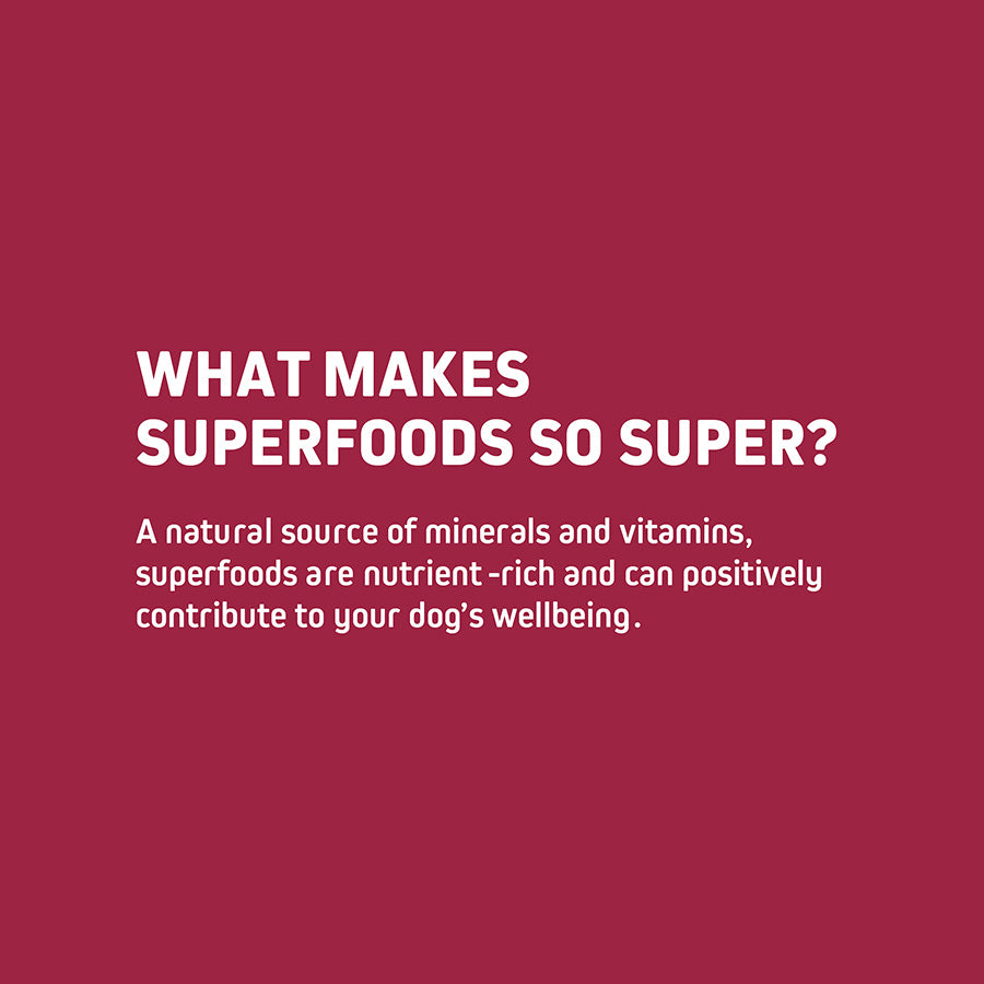 Wainwright's Dry Adult Dog Food Beef With Superfoods