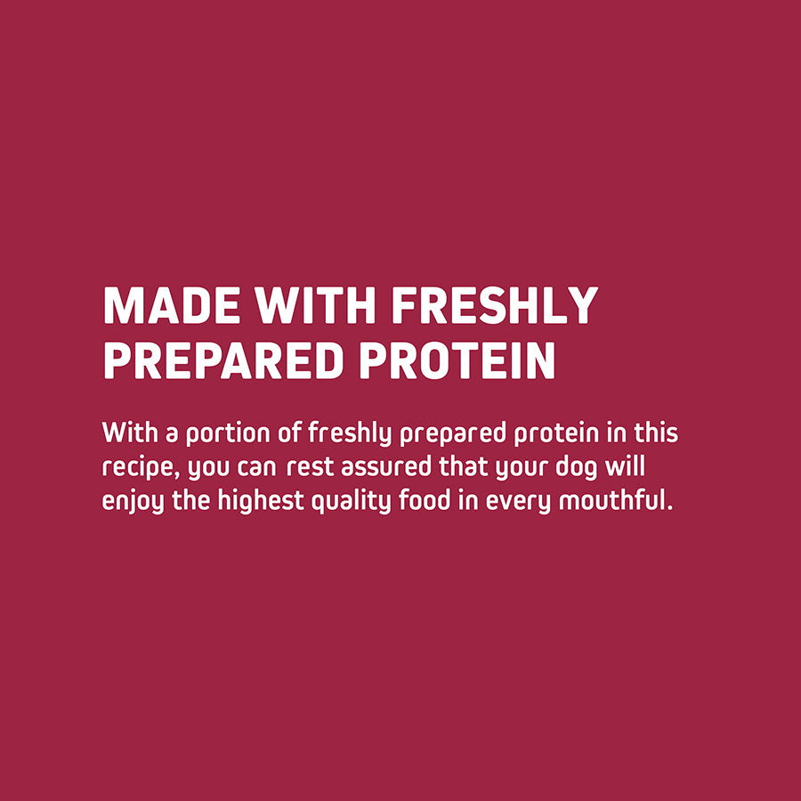 Wainwright's Dry Adult Dog Food Beef With Superfoods