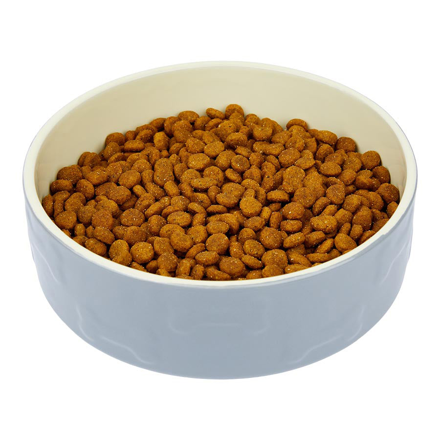 Wainwright's Plant Based Protein Adult Dry Dog Food