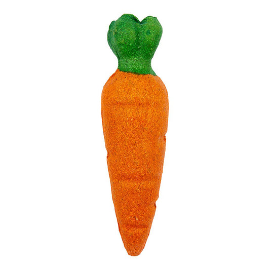 Pets at Home Big Carrot Small Animal Gnaw Toy