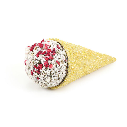 Naturals Raspberry 'n' Coconut Cone Small Animal Treat 50g