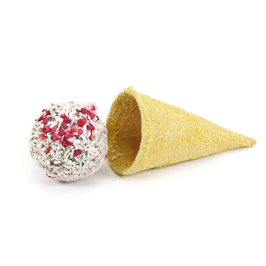 Naturals Raspberry 'n' Coconut Cone Small Animal Treat 50g