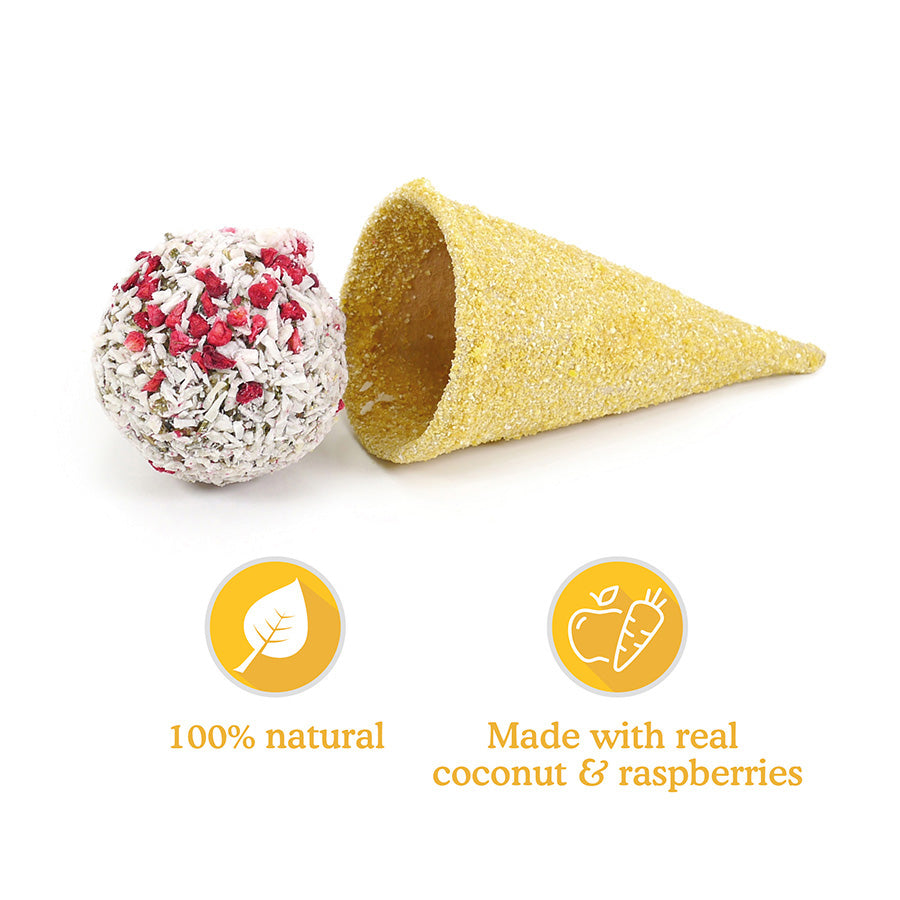 Naturals Raspberry 'n' Coconut Cone Small Animal Treat 50g