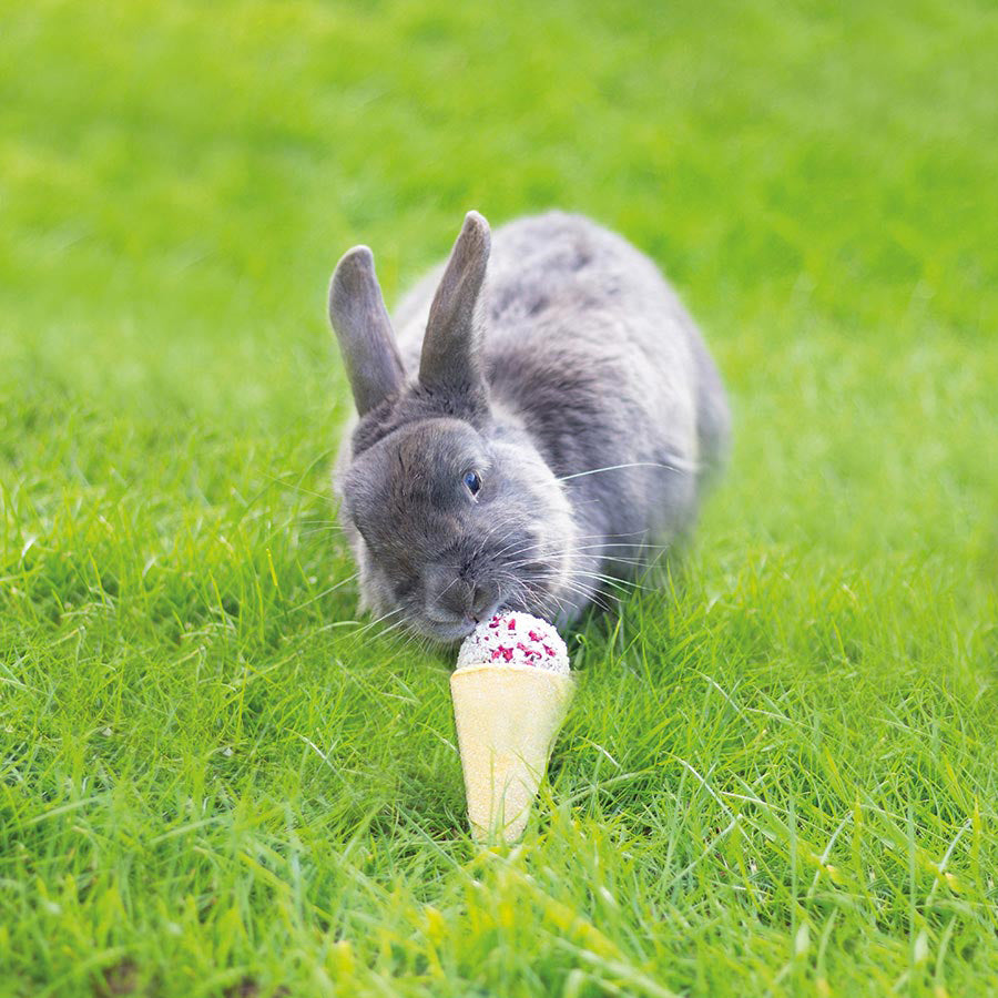 Naturals Raspberry 'n' Coconut Cone Small Animal Treat 50g