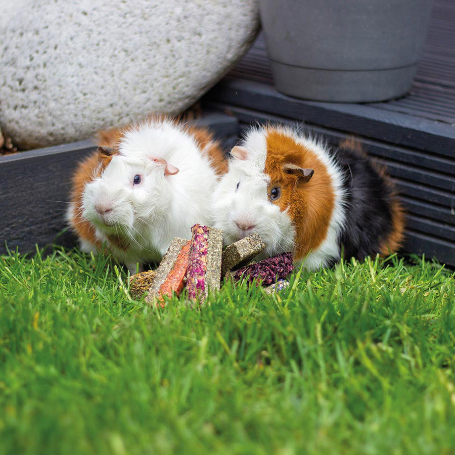 Naturals Luxury Flower, Fruit and Veg Bar Small Animal Treats 7 Pack