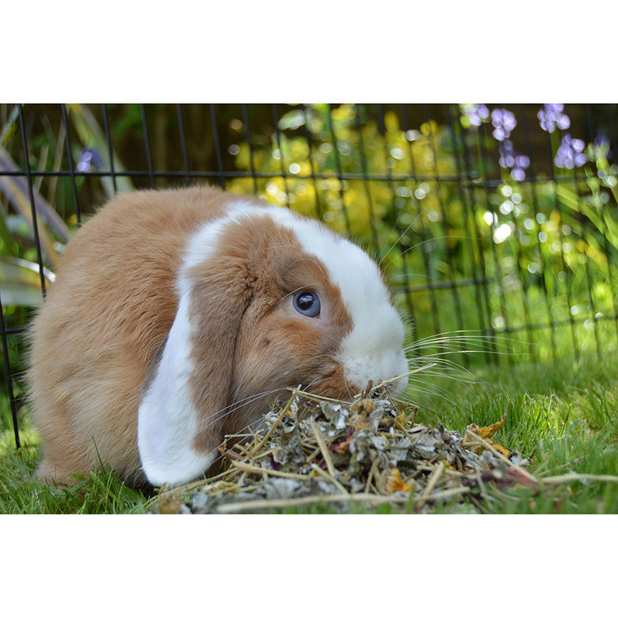 Naturals Summer Harvest Salad Small Animal Treat Mix 150g