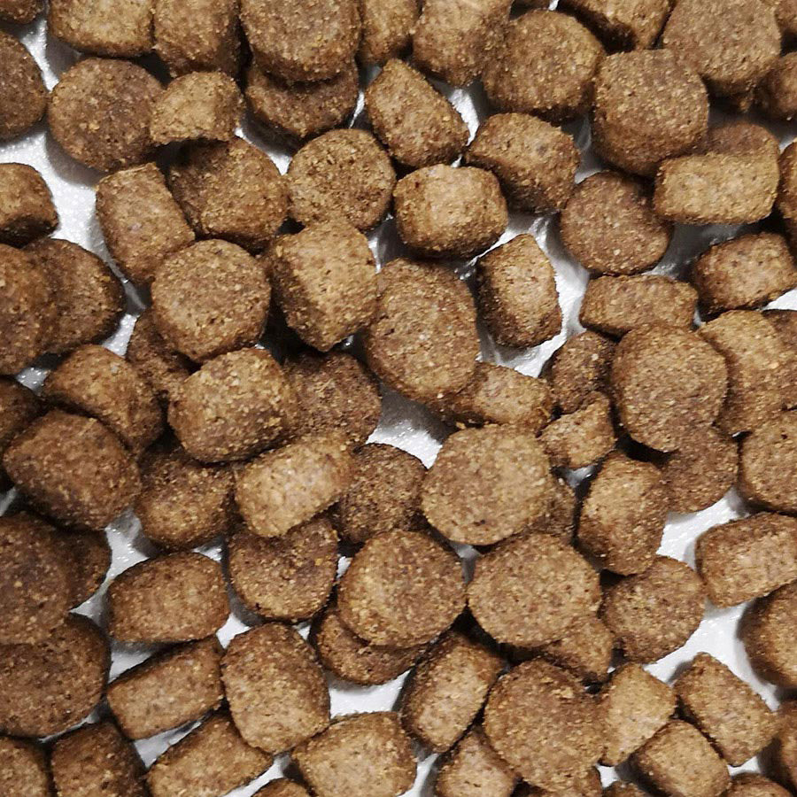 Wainwright's Complete Adult Dry Dog Food Turkey with Rice