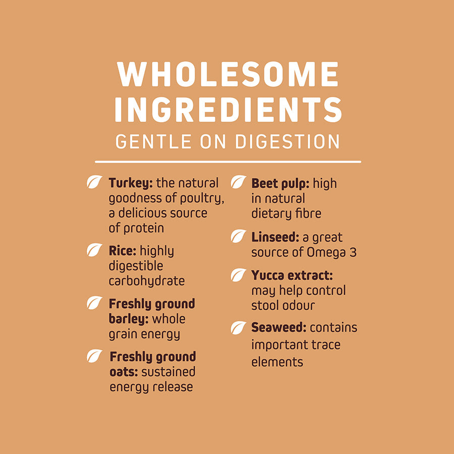 Wainwright's Complete Adult Dry Dog Food Turkey with Rice