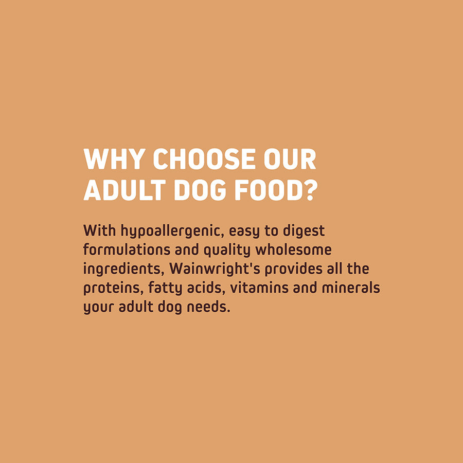 Wainwright's Complete Adult Dry Dog Food Turkey with Rice