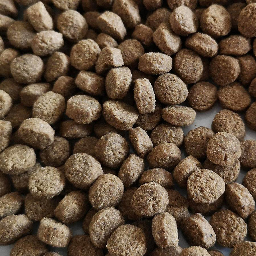 Wainwright's Complete Adult Dry Dog Food Salmon with Rice