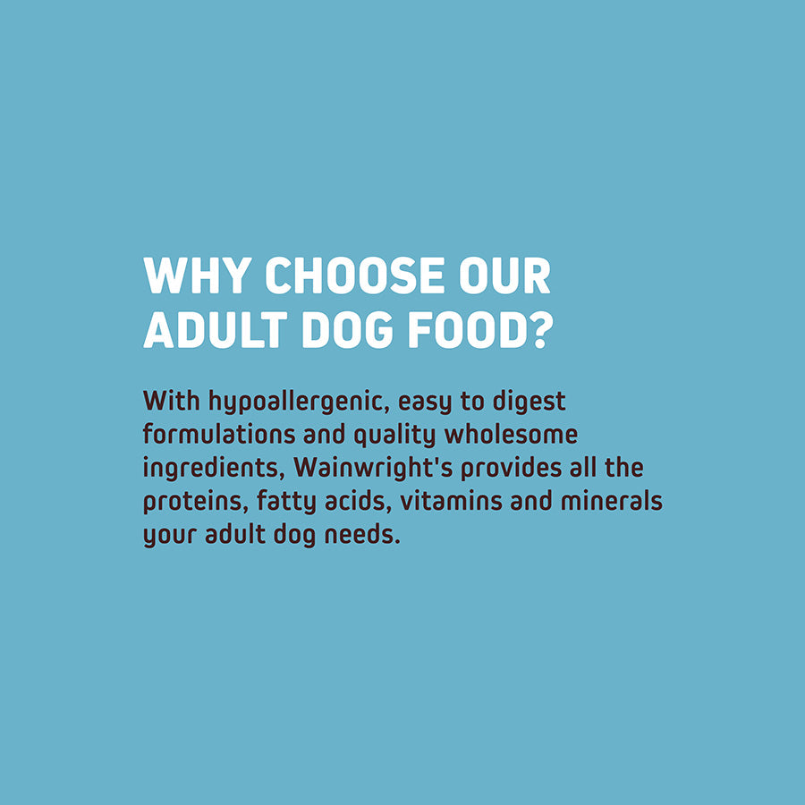 Wainwright's Complete Adult Dry Dog Food Salmon with Rice