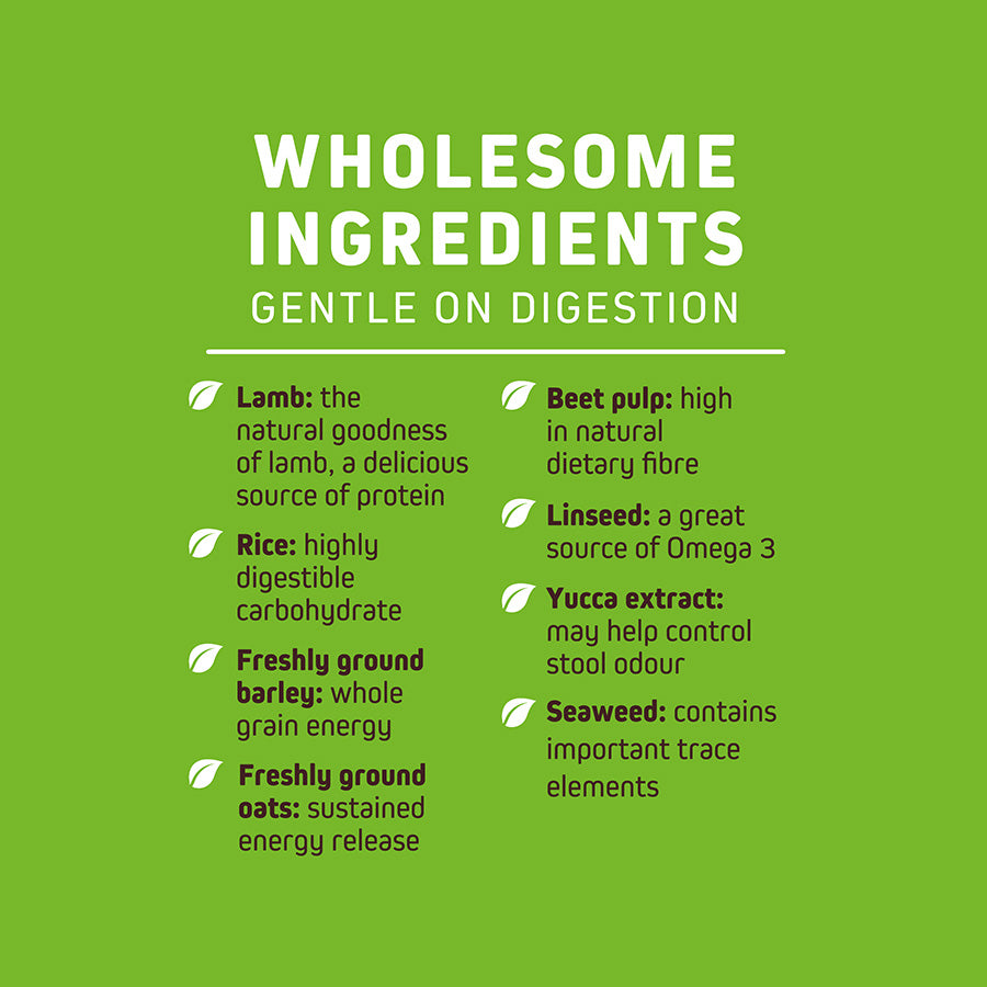 Wainwright's Mature Dry Dog Food Lamb with Rice