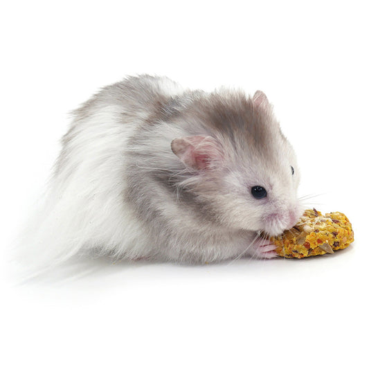 Naturals Papaya 'n' Peanut Cookie Small Animal Treats 8 Pack 80g