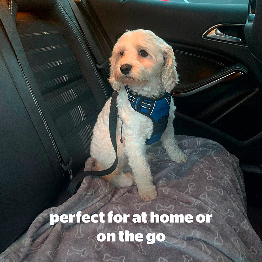 Silentnight Waterproof Dog Blanket Grey Medium